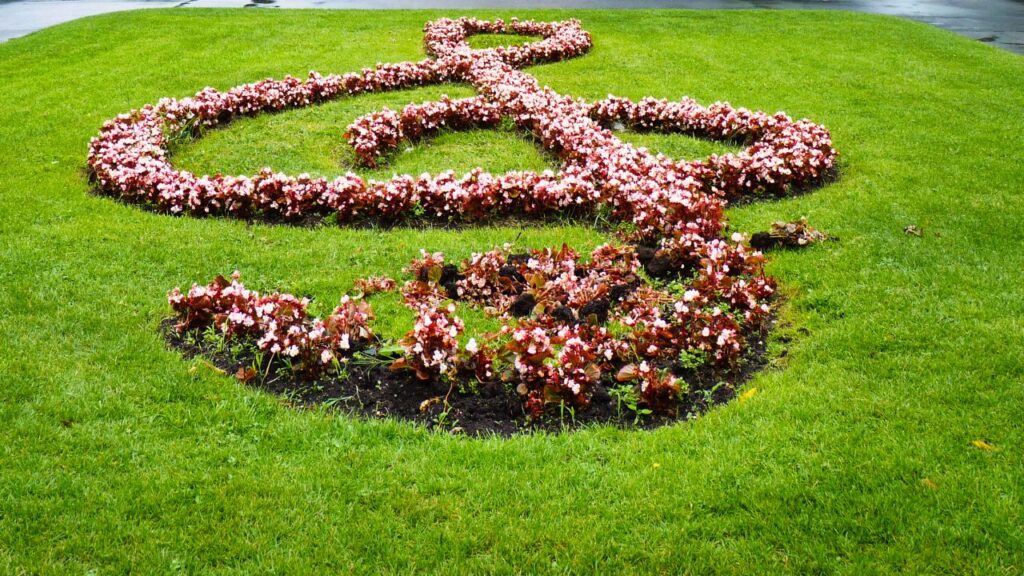 Música e jardinagem: playlists que potencializam o relaxamento
