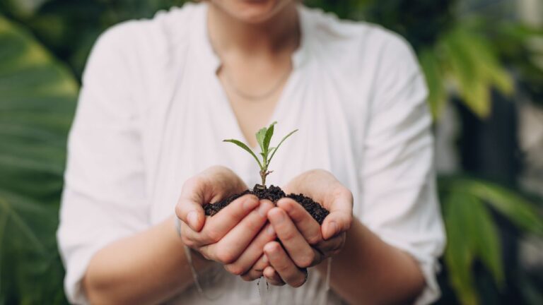 Jardinagem consciente: faça menos, perceba mais