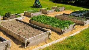 Jardinagem urbana em pequenos espaços: truques e ideias