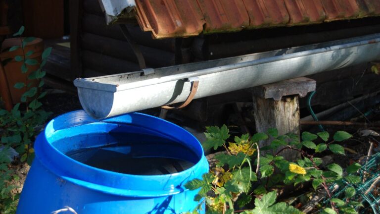 Como fazer reuso de água na horta pequena