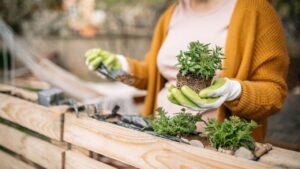 Jardins terapêuticos: o poder da jardinagem para o bem-estar