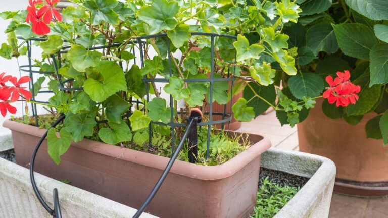 Técnicas de irrigação automatizada para jardins urbanos