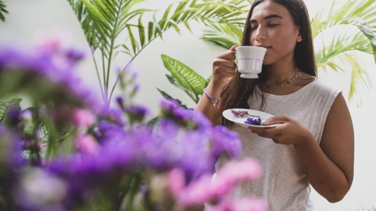 O que são jardins sensoriais e como criar um em casa