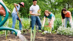 Jardins urbanos comunitários: como participar