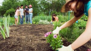 Hortas urbanas: por onde começar se tenho pouco espaço