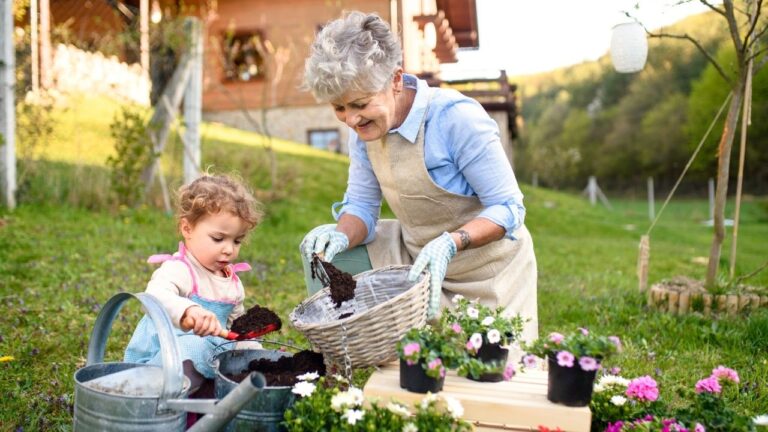 Dicas para aumentar a produtividade da mini-horta