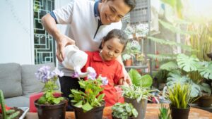 Como proteger plantas do excesso de poluição
