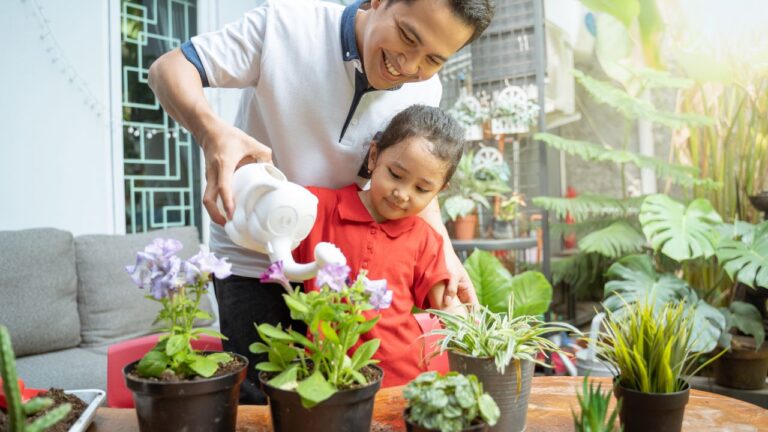 Como proteger plantas do excesso de poluição