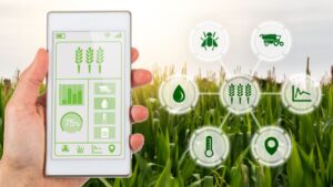 Aplicativos que ajudam na identificação de plantas