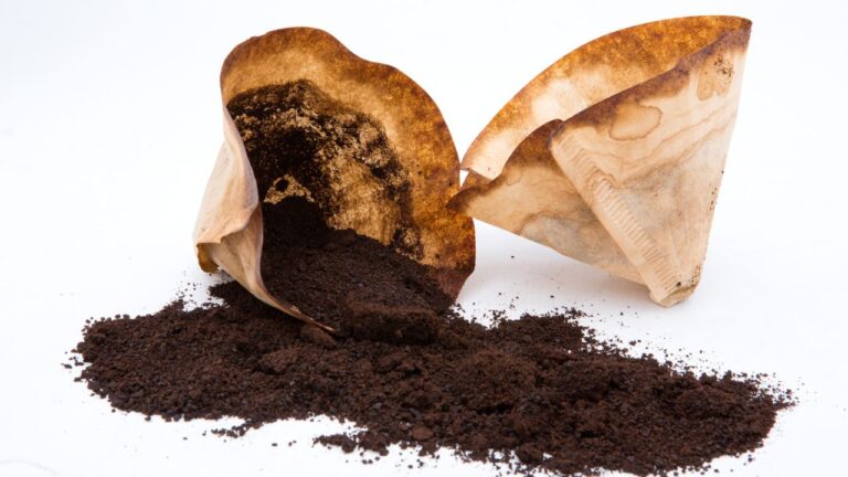 Dá para usar borra de café como adubo