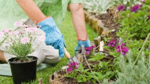 Benefícios da jardinagem urbana para a saúde mental