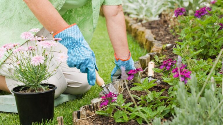 Benefícios da jardinagem urbana para a saúde mental