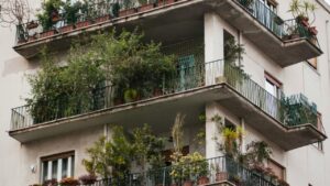Jardinagem sustentável em grandes cidades