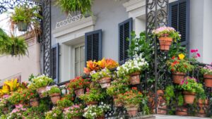 jardinagem orgânica em varandas