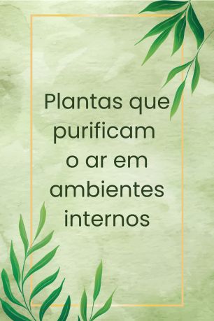 Preparando o substrato ideal para hortas pequenas