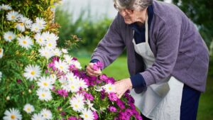 Jardinagem urbana como hobby para idosos