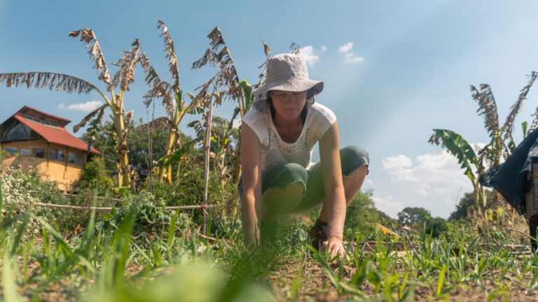 Princípios da permacultura em espaços pequenos