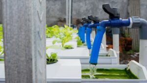 Sistemas de irrigação DIY para pequenos jardins
