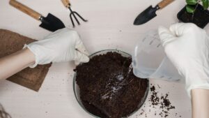 Como preparar substratos caseiros para vasos