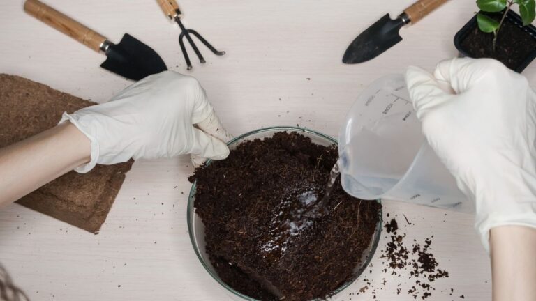 Como preparar substratos caseiros para vasos